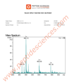 GHK-Cu 50mg Copper Peptide - Image 4