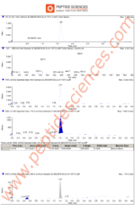 MK-677 (Ibutamoren) 12.5mg (60 Capsules) - Image 4